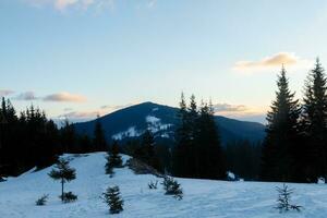 esquí pista y silla levantar con nieve cubierto arboles en soleado día. foto
