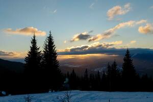 Ski piste and chair lift with snow covered trees on sunny day. photo