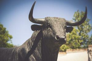 toro estatua en frente de el toreo arena en ronda, España foto
