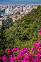 Panorama of Malaga, Spain photo