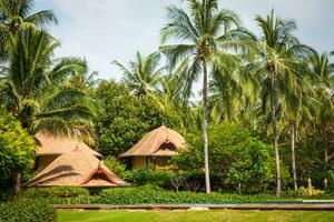Tropical beach house on the island Koh Samui, Thailand photo