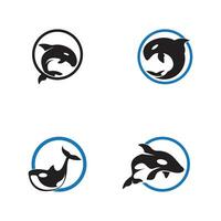 Orca icon and symbol vector template illustration