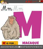 letter M from alphabet with cartoon macaque animal vector