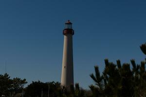 Cape May point lighthouse seen among all the brown foliage and green trees depicting the Fall season. The large white tower stands tall above everything. The top of the light has a red metal cage. photo