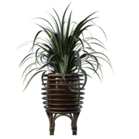 plants on a wooden stand png