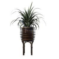 plants on a wooden stand png