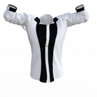 formal camisa roupas isolado png