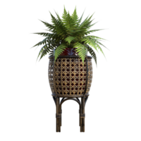 plant in rattan vase png