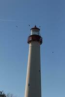 I loved the look of Cape May point lighthouse with these birds flying around it. The red top of this structure with the white tower looked beautiful with the blue sky in the background. photo