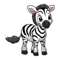 Cute zebra cartoon on white background vector