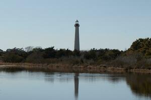 Cape May Point Lighthouse casting a beautiful reflection in the still pond. Brown foliage all around showing the Fall season. photo