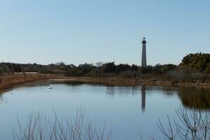 Cape May Point Lighthouse casting a beautiful reflection in the still pond. Brown foliage all around showing the Fall season. photo