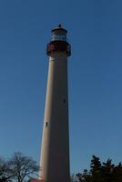 Beautiful image of the Cape May point lighthouse. The brown foliage all around with the beautiful blue sky in the background. photo