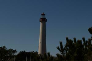 Beautiful image of the Cape May point lighthouse. The brown foliage all around with the beautiful blue sky in the background. photo