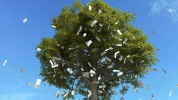 Dollar bill falling from the tree, Money falling from tree, Money fall from the tree. video