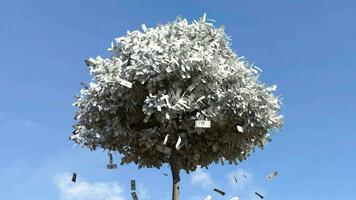 Dollar bill falling from the tree, Money falling from tree, Money fall from the tree. video