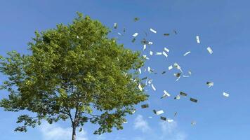 dólar cuenta que cae desde el árbol, dinero que cae desde árbol, dinero otoño desde el árbol. video