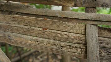 old weathered wooden fence texture photo