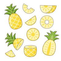 Set of pineapples vector