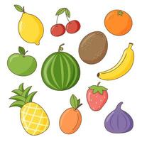 conjunto de frutas vector