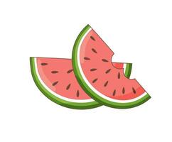 Two slices of watermelon vector