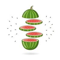 Watermelon cut into slices vector