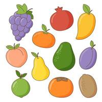 conjunto de frutas vector