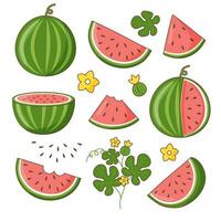 Set of watermelons vector