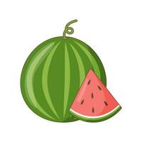 Watermelon whole and a slice vector