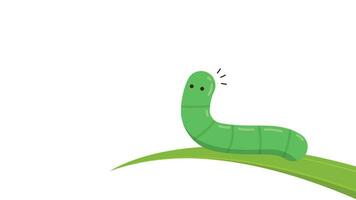 Green worm on white background. worm insects on the leaf. wallpaper. free space for text. copy space. vector