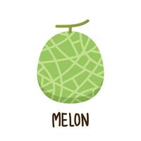 Melon vector. melon on white background. wallpaper. logo design. vector