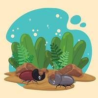 Cute beetle insect characters on the ground with leaves Vector illustration