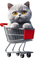 Karikatur Katze im Einkaufen Wagen ai generativ png