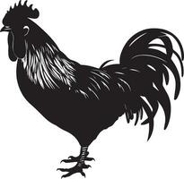 Australorp Chicken vector silhouette illustration black color