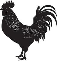 Australorp Chicken vector silhouette illustration black color 16