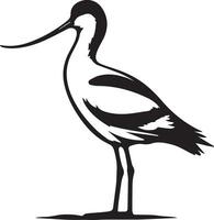 avoceta pájaro vector silueta ilustración negro color