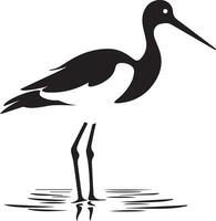 avoceta pájaro vector silueta ilustración negro color