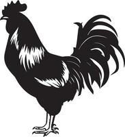 Australorp Chicken vector silhouette illustration black color