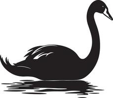 Swan vector silhouette illustration black color