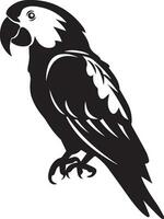 Parrot vector silhouette illustration black color