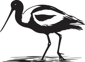 Avocet Bird Vector silhouette illustration black color