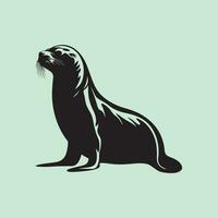 Sea lion vector, image and Illustration vector