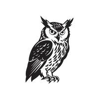Owl Image Vector, Art and Design vector