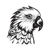 Parrot Head Vector Art, Image and Design