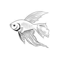 Decorative Fish Vector Image, Art And illustration