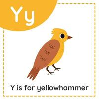 Learning English alphabet for kids. Letter Y. Cute cartoon yellowhammer. vector