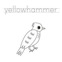 Trace the letters and color cartoon yellowhammer bird. Handwriting practice for kids. vector