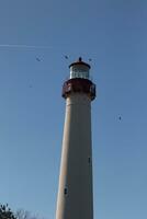 I loved the look of Cape May point lighthouse with these birds flying around it. The red top of this structure with the white tower looked beautiful with the blue sky in the background. photo