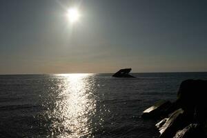 Sunset beach in Cape May New Jersey where you can get a great view of the sun going down across the ocean and the bay. The reflection of the sun on the water with the sunken ship looks so beautiful. photo