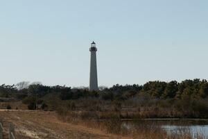 This is the look of the Cape May point lighthouse from the birdwatching nature preserve close by. I love the look of the pond in this landscape picture and the brown look of all the foliage. photo